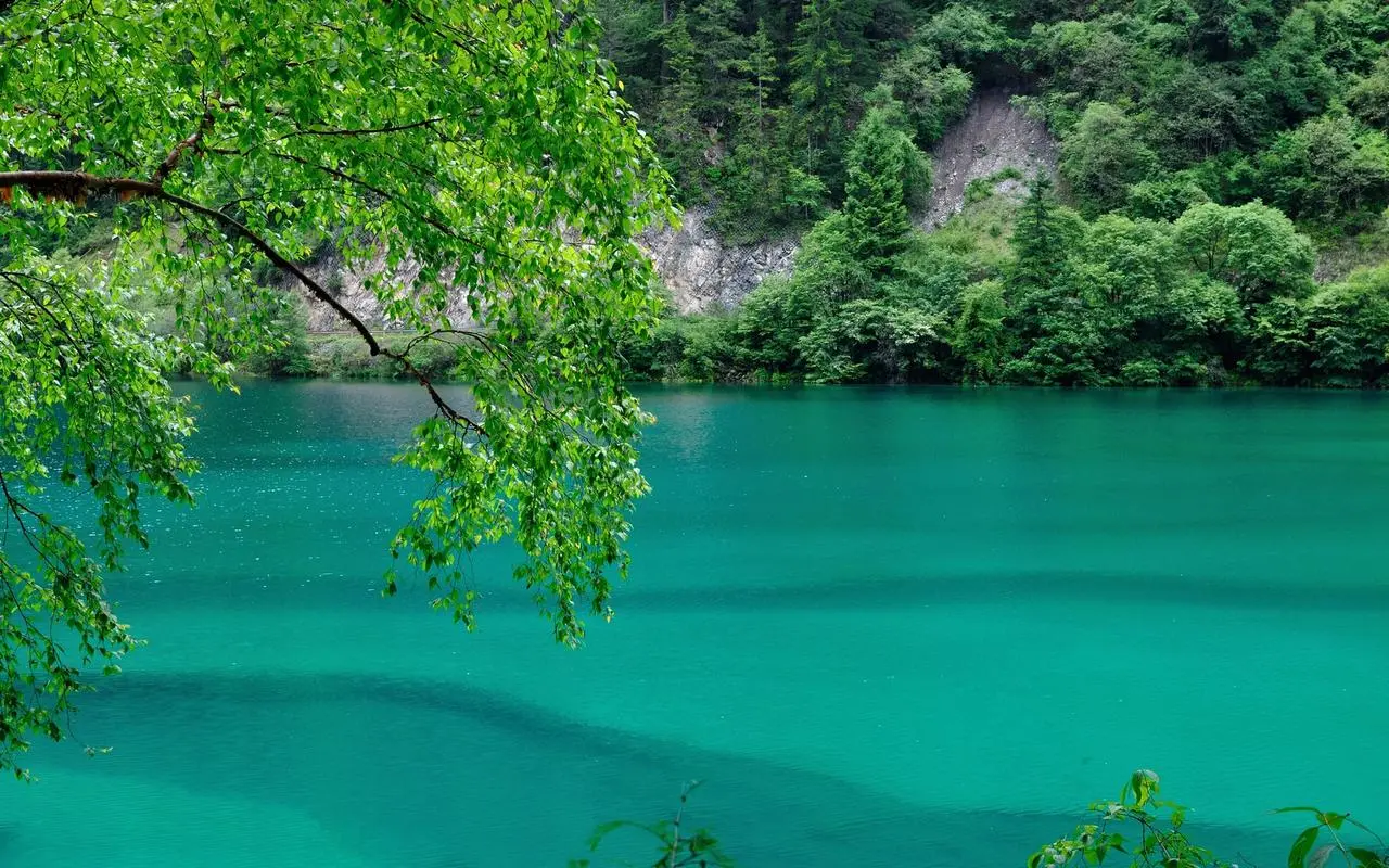 科技高端