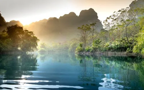 高效高质量
